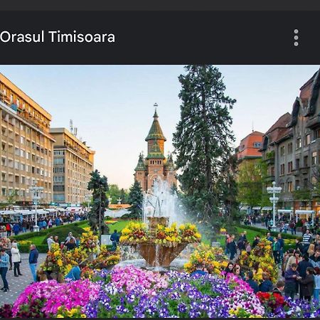 Apartament Lux Crialy - 75 M2 - Free Parking Temesvár Kültér fotó