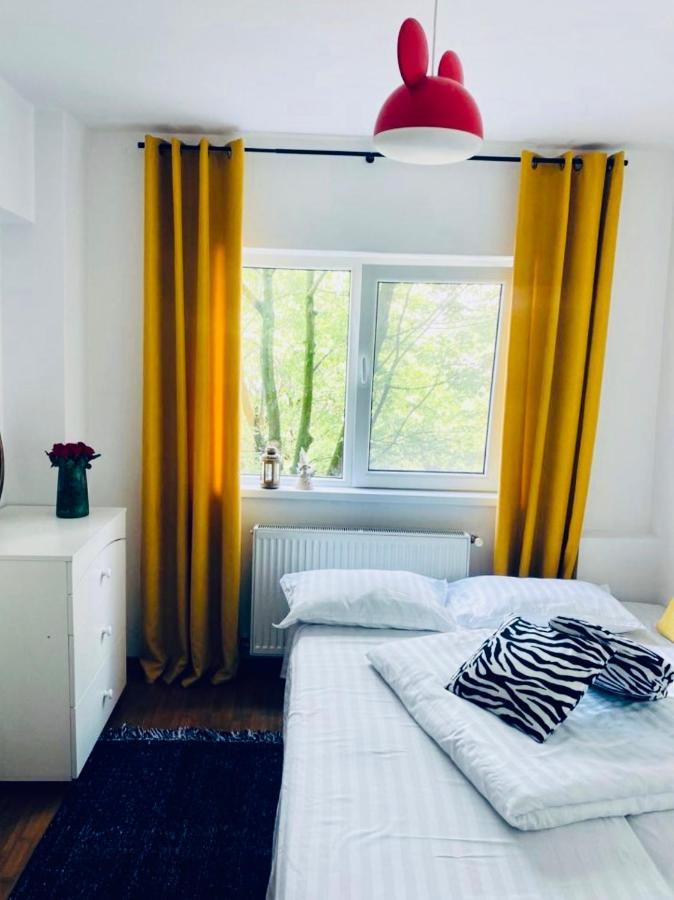 Apartament Lux Crialy - 75 M2 - Free Parking Temesvár Kültér fotó