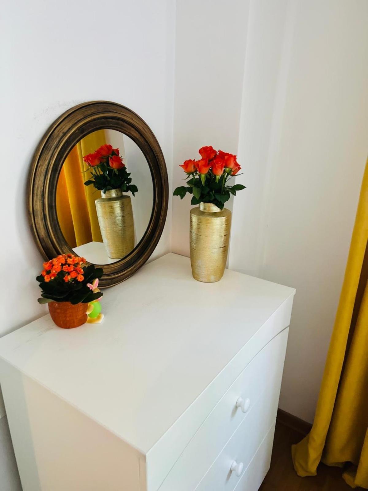 Apartament Lux Crialy - 75 M2 - Free Parking Temesvár Kültér fotó